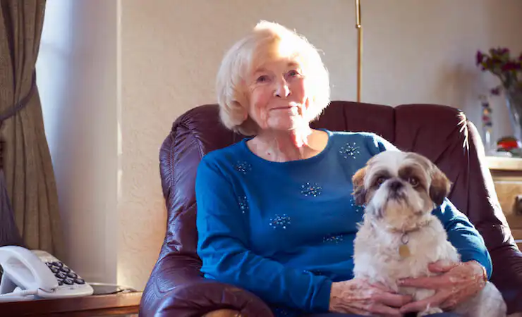 Older woman sat in a cosy brown armchair with a small white dog sat on her lap.