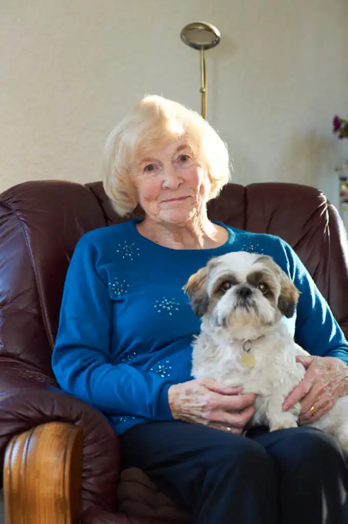 Older woman sat in a cosy brown armchair with a small white dog sat on her lap.