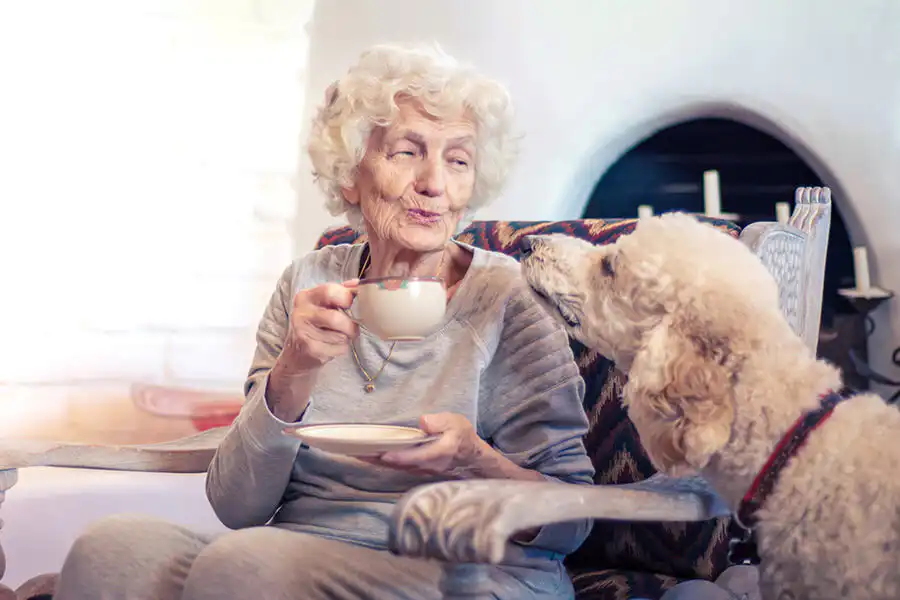 Older woman sitting in her arm chair drinking a cup of tea and smiling at her dog who is stood beside her.