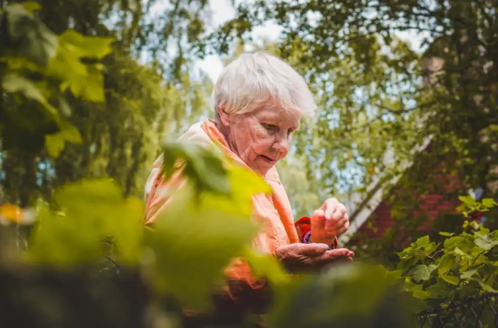 Elderly lady standing in her garden. She can be seen behind some leaves pointing to something in her hand.