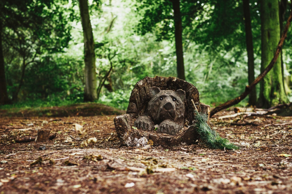 Bear carved into a tree trunk at Wendover woods, near Wendover, Buckinghamshire.