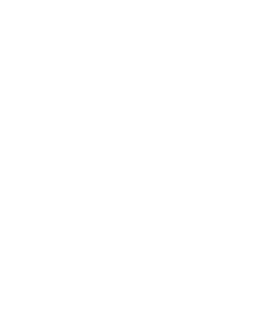 Leaf illustration