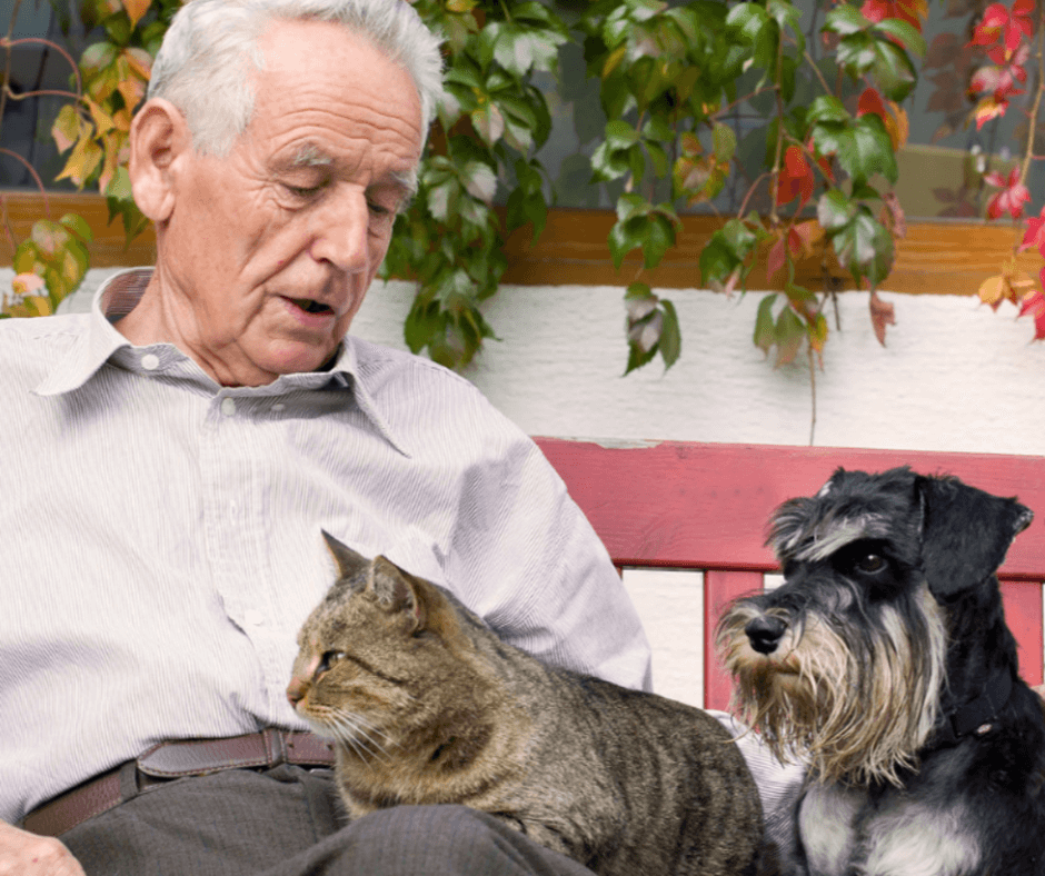 better at home live in care report 2019