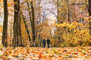 Elderly autumn walks - Ashridge Home Care 