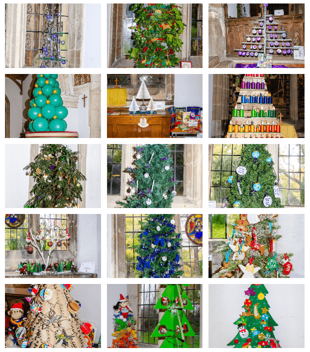  2022 Christmas Tree Festival